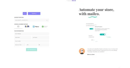 SaaS payment page template